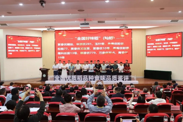 一六镇“青香优19香”荣获“全国好味稻”称号。