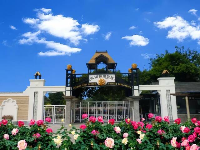 广州市从化区西和万花风情小镇的千亩玫瑰园。