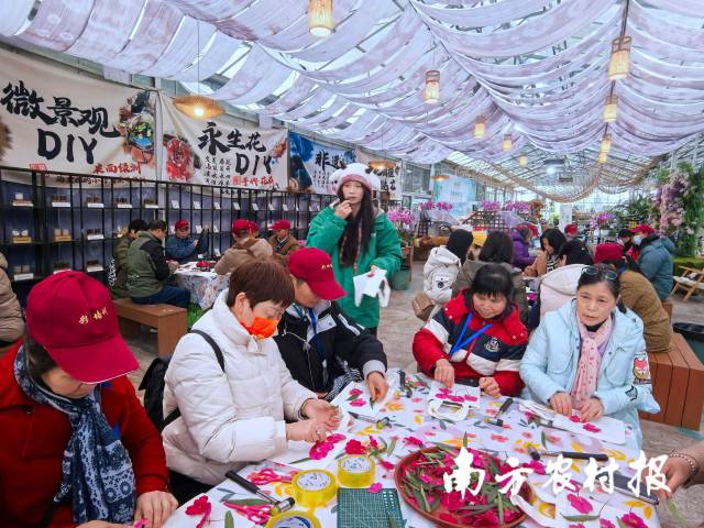 花卉基地实操。