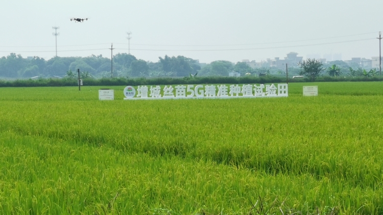 加大撂荒耕地整治力度 | 市委书记抓乡村振兴（2026.04.20-04.26）