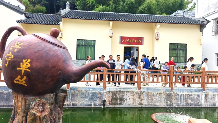 茶香鸽韵醉美乡约，兴宁径南“茶酒鸽”三产联动带旺文旅