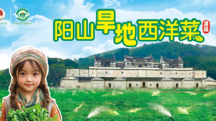 地铁里的粤北惊喜！阳山把好菜与云海，开进大湾区“动脉”