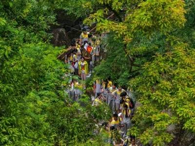 广州公园景区“五一”怎么逛？看展、品咖、亲子活动应有尽有