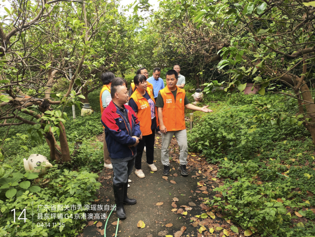 在沙田柚果园技术指导