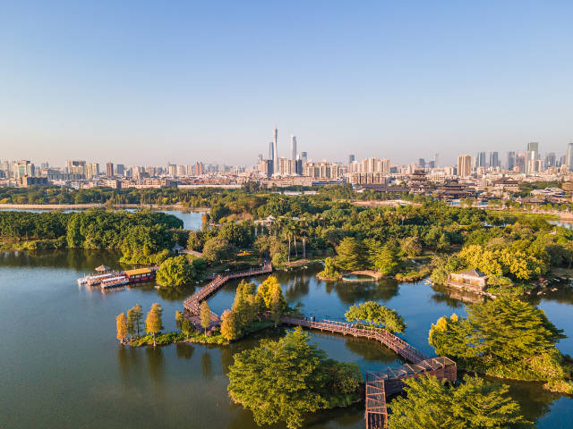 航拍广州海珠湖海珠湿地秋色景观。来源：视觉中国  受访者供图
