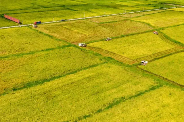 万绿智慧农场。（资料图）