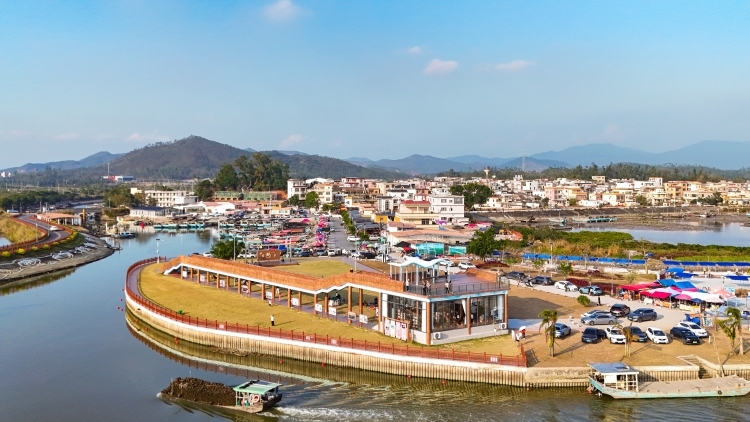 ​五一不想人从众，就来阳江的这条农文旅线路！