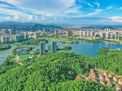 “十五五”经济开局良好！今年一季度阳江市经济数据出炉