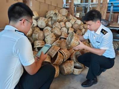 廉江小众优品“出海记”