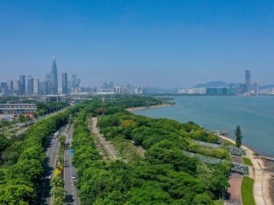 华为：立足“根技术”创新，助力广东打造AI产业高地