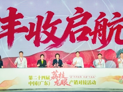 相亲、集市、探源、圆桌派、供货路演……广东荔枝龙眼产销“玩”出新花样