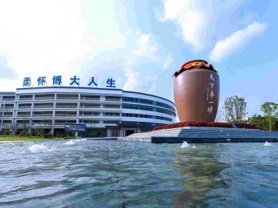 洋河股份2025年业绩观察：短期承压与中长期策略调整｜公司舆情哨