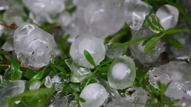 雷雨大风+冰雹+暴雨！湛江市区连发三个橙色预警