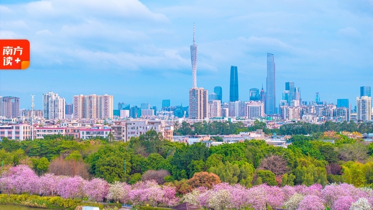 这份11万字的“蓝图”，决定未来五年广东的模样！