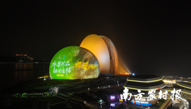 媒体+赋能，融安金桔点亮珠海日月贝。