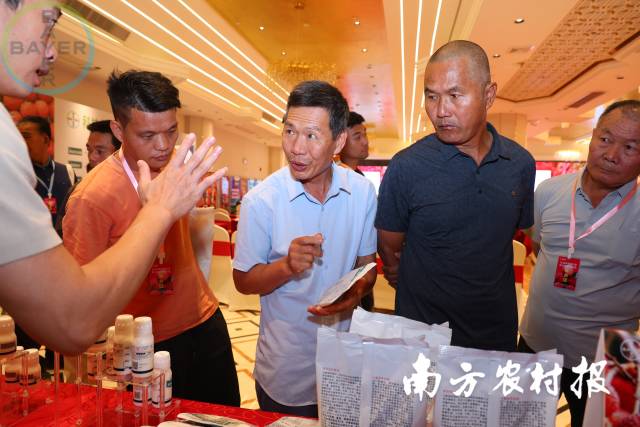 荔枝种植户咨询管理方案