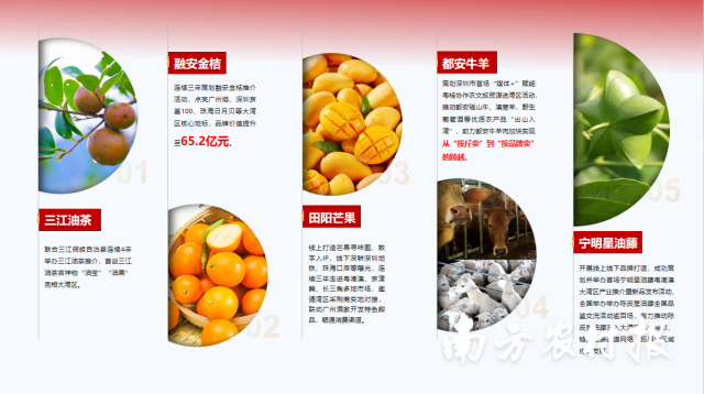 南方农村报通过“媒体+”赋能粤桂协作，助力乡村产业振兴
