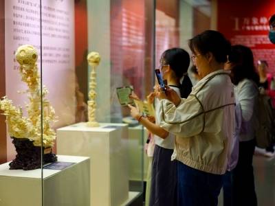 岭南非遗走进河北！“广州象牙雕刻展”在廊坊博物馆开幕