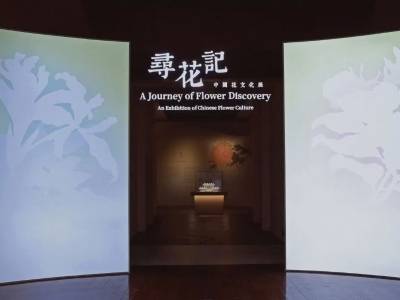 大湾区宝藏展览上新，看展特种兵速速集合丨五一文娱指南①