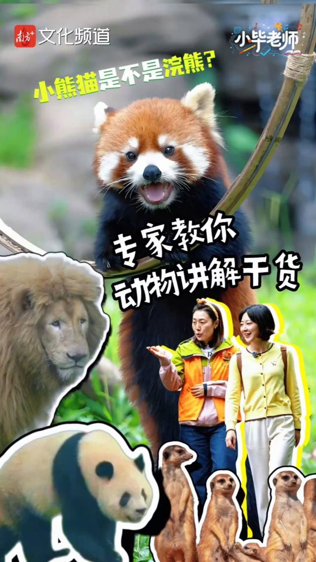 “五一”动物园打卡攻略！专家讲解动物“冷知识”丨小毕老师