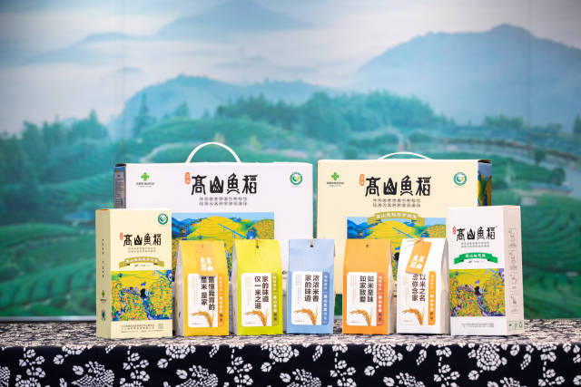 高山鱼稻