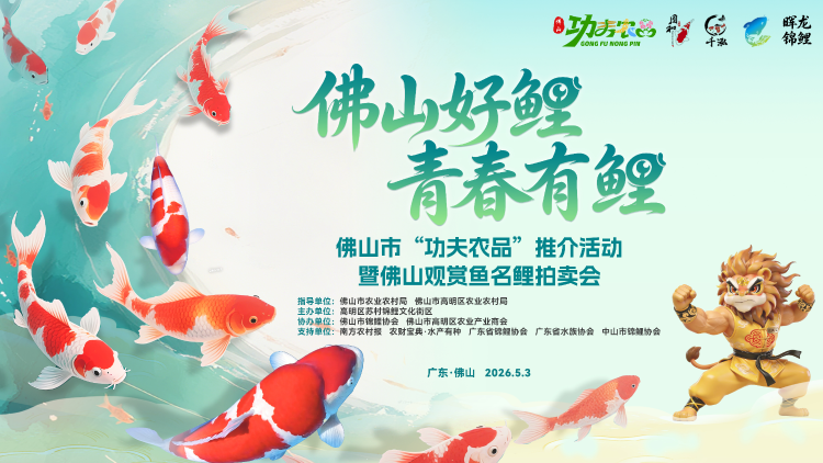 全体鱼友向苏村看齐！“功夫农品”讲堂、名优锦鲤拍卖、观赏鱼集市、金鱼现场直播……这个五一精彩不重样