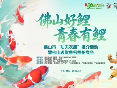 全体鱼友向苏村看齐！“功夫农品”讲堂、名优锦鲤拍卖、观赏鱼集市、金鱼现场直播……这个五一精彩不重样