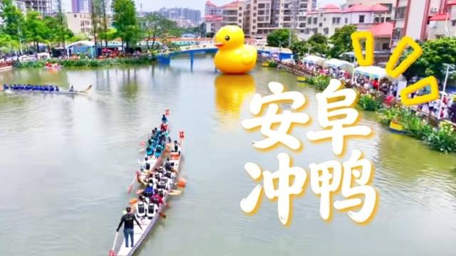 视频｜这个“五一”，来中山坦洲“安阜冲鸭”！
