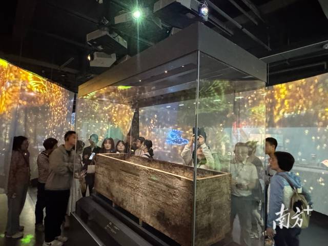 夜场开启，观众夜间观展。