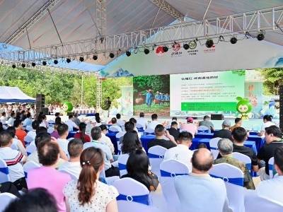 “全网最甜城市”邀客来！化州2026化橘红夏摘果系列活动启幕