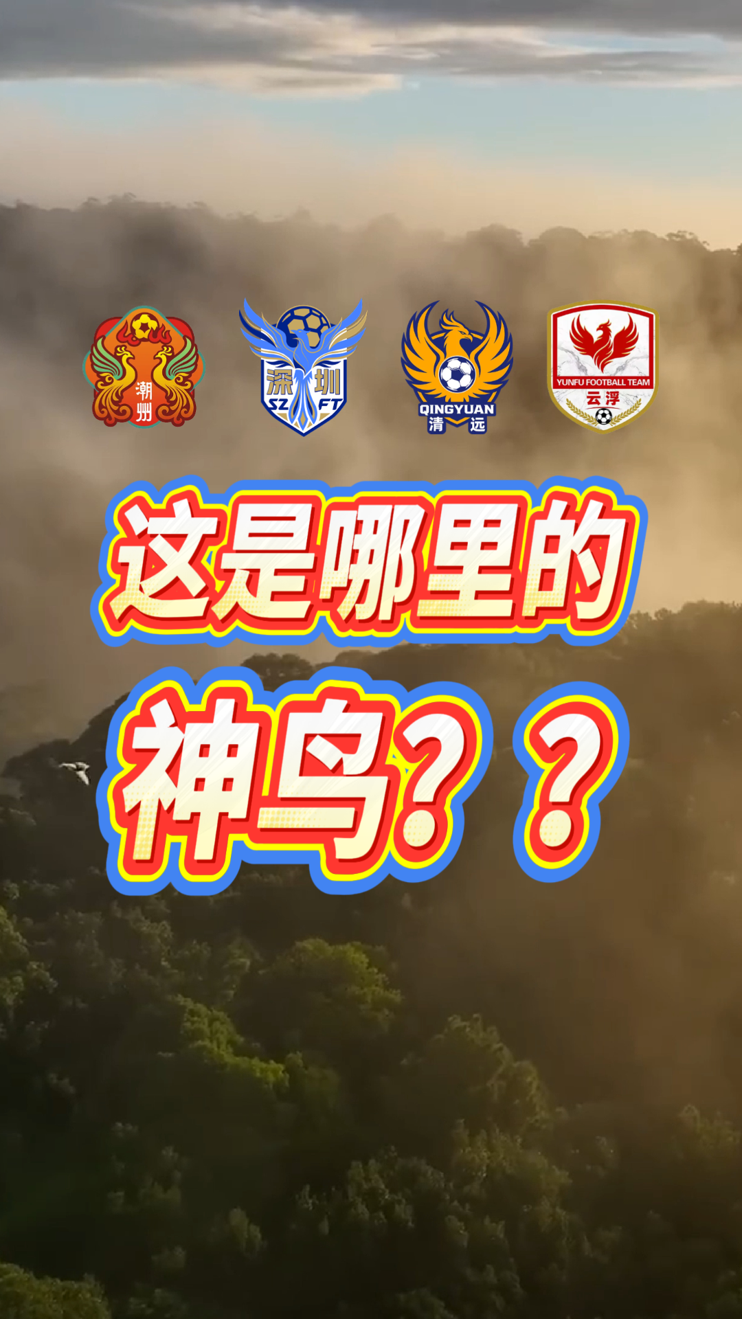 头啖汤评论:这是哪里的神鸟??