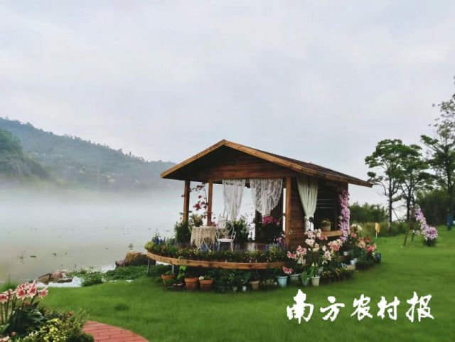 龙川湿地公园的梦幻花房。