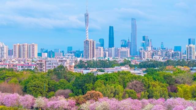 未来五年，广东这样干！ | 南方+编委会一周荐读