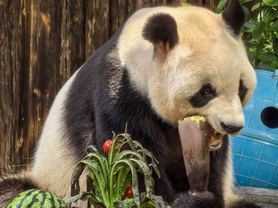 图集｜科普+互动！深圳动物园“五一”人气旺