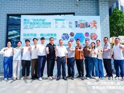 这个假期佛山观赏鱼特火！万人打卡微集市，直播卖鱼助力产业融合发展