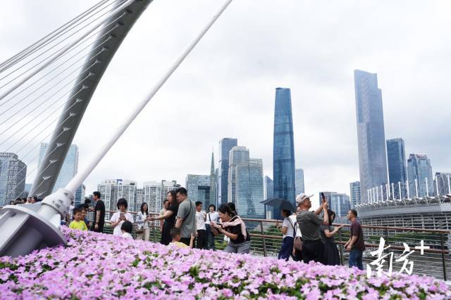 五一期间，晨读村修游客在广州地标“小蛮腰”一带游玩。丨荔南方+记者 王俊涛 摄
