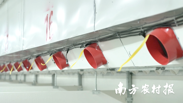 牧原肉食产业综合体保育舍内景。