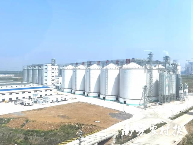 牧原联手西湖大学，合作技术转化项目牧元安粮年产3万吨合成生物氨基酸项目已于2025年投产。