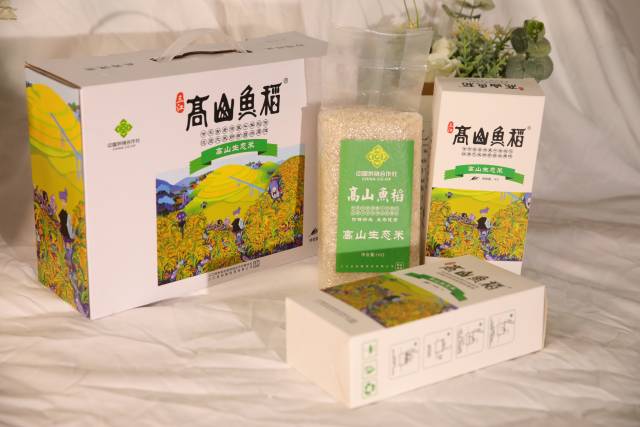 三江高山鱼稻