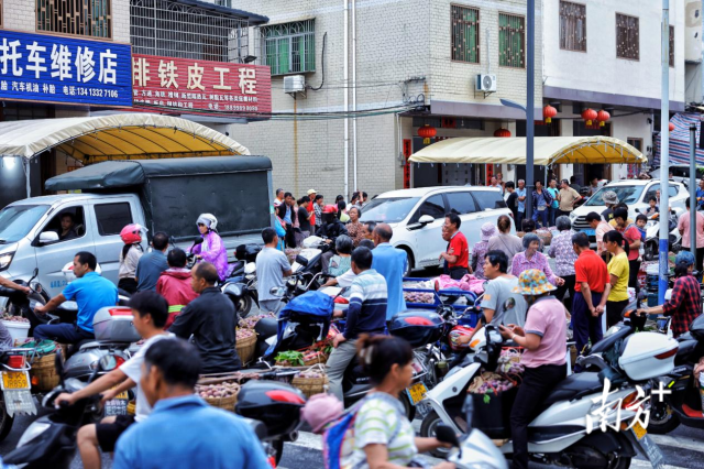 热闹的乡村李子早市