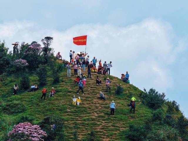 阳春市“鸡笼顶”被称作“粤西最美高山草原”