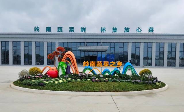 受访者供图