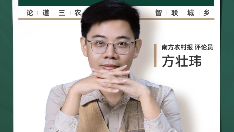 兴农评丨《给阿嬷的情书》：为乡村振兴上“文化课”