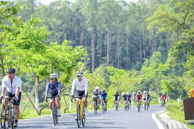 骑友在218公里旅游公路骑行。（图源：“环南昆山—罗浮山引领区”公众号）