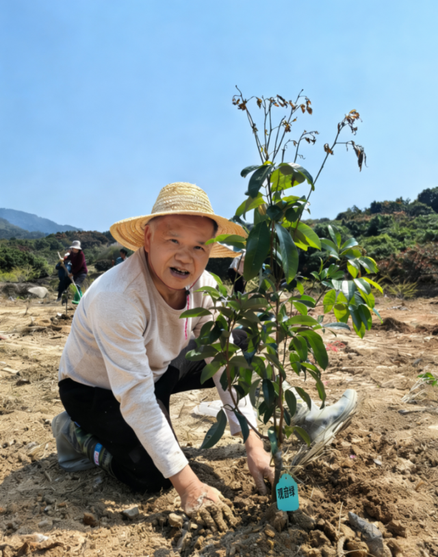 东新村推广种植观音绿新品种。