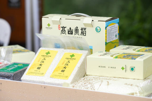 高山鱼稻米