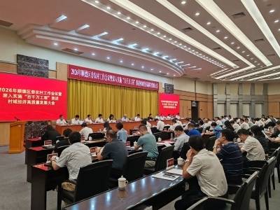 顺·势｜五个月三次大会，顺德咬定村居发展不放松