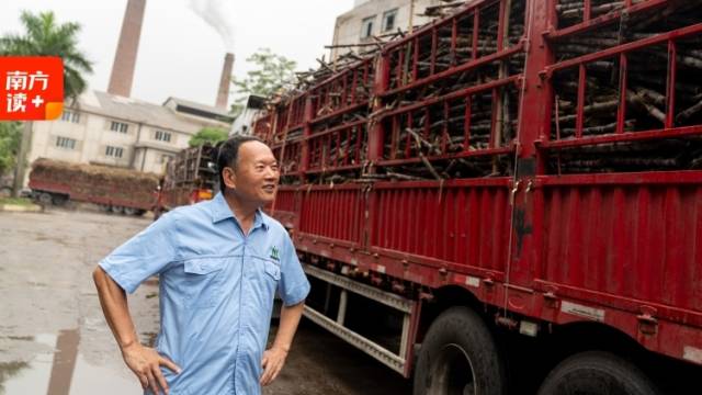 “来者不拒”的约定：这家化州糖厂为何感动全网？