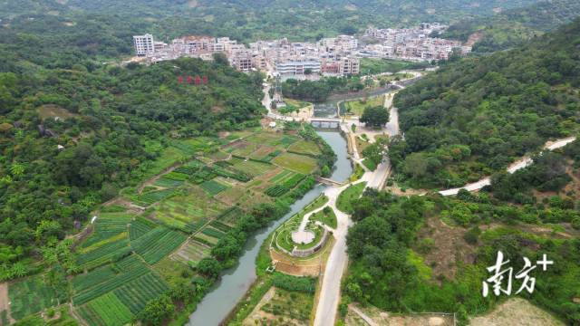 雷岭荔枝果园航拍。