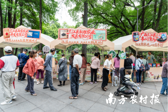 “粤桂携手·侗味入湾”2026年三江侗族自治县农特产品粤港澳大湾区推介活动现场。